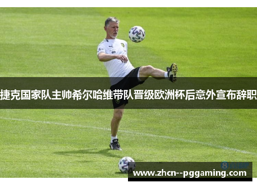 捷克国家队主帅希尔哈维带队晋级欧洲杯后意外宣布辞职 捷克国家队主帅希尔哈维带队晋级欧洲杯后意外宣布辞职