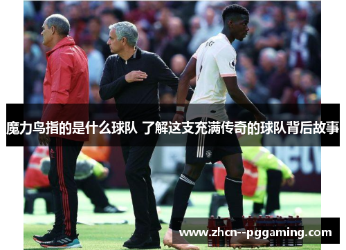 魔力鸟指的是什么球队 了解这支充满传奇的球队背后故事