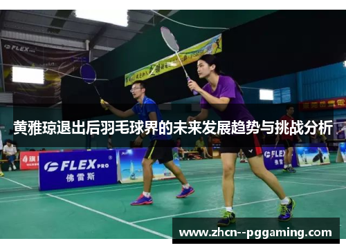 黄雅琼退出后羽毛球界的未来发展趋势与挑战分析