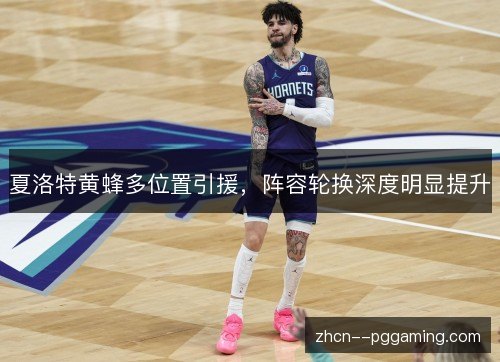 夏洛特黄蜂多位置引援，阵容轮换深度明显提升